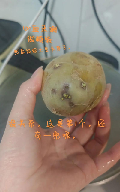 家里阳光不足怎么养花，选对植物种类，掌握养护技巧