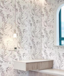 家里阳光不足怎么养花，选对植物种类，掌握养护技巧