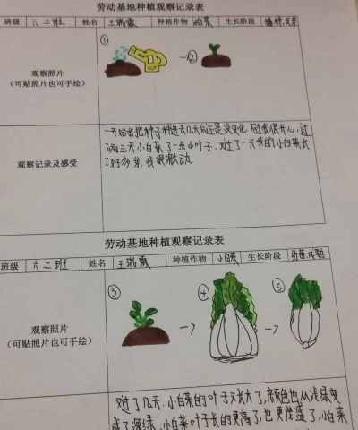 家里阳光不足怎么养花，选对植物种类，掌握养护技巧
