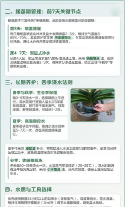 家里阳光不足怎么养花，选对植物种类，掌握养护技巧