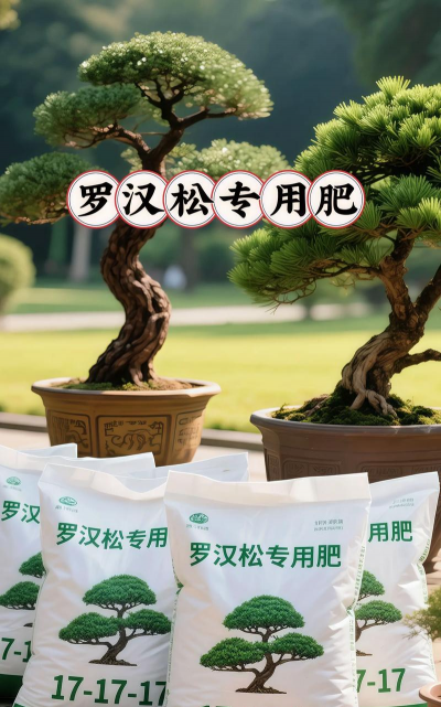 家里阳光不足怎么养花，选对植物种类，掌握养护技巧