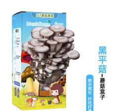 家里阳光不足怎么养花，选对植物种类，掌握养护技巧