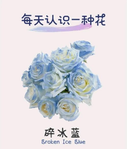 家里阳光不足怎么养花，选对植物种类，掌握养护技巧