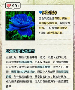家里阳光不足怎么养花，选对植物种类，掌握养护技巧