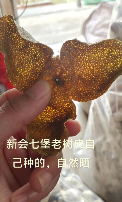 家里阳光不足怎么养花，选对植物种类，掌握养护技巧