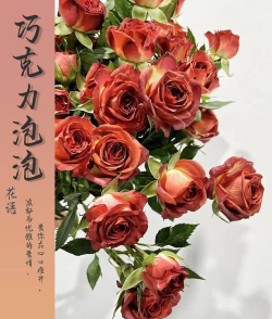 家里阳光不足怎么养花，选对植物种类，掌握养护技巧