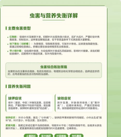 家里阳光不足怎么养花，选对植物种类，掌握养护技巧