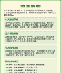 家里阳光不足怎么养花，选对植物种类，掌握养护技巧