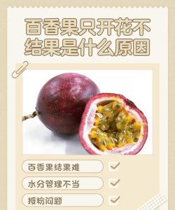 家里阳光不足怎么养花，选对植物种类，掌握养护技巧