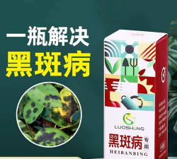 家里阳光不足怎么养花，选对植物种类，掌握养护技巧