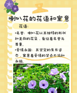 家里阳光不足怎么养花，选对植物种类，掌握养护技巧