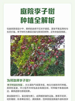 家里阳光不足怎么养花，选对植物种类，掌握养护技巧