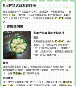 家里阳光不足怎么养花，选对植物种类，掌握养护技巧