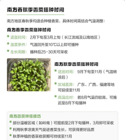 家里阳光不足怎么养花，选对植物种类，掌握养护技巧