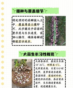 家里阳光不足怎么养花，选对植物种类，掌握养护技巧