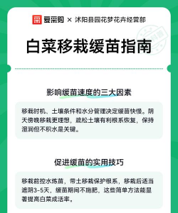 家里阳光不足怎么养花，选对植物种类，掌握养护技巧