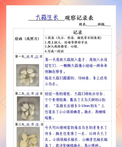 家里阳光不足怎么养花，选对植物种类，掌握养护技巧