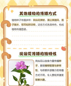 家里阳光不足怎么养花，选对植物种类，掌握养护技巧