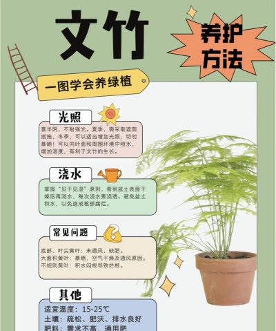 家里阳光不足怎么养花，选对植物种类，掌握养护技巧