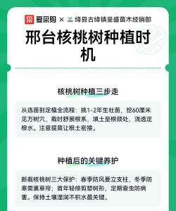 家里阳光不足怎么养花，选对植物种类，掌握养护技巧