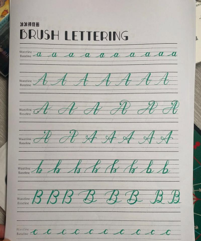 家里阳光不足怎么养花，选对植物种类，掌握养护技巧