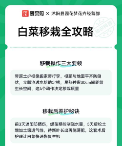 家里阳光不足怎么养花，选对植物种类，掌握养护技巧