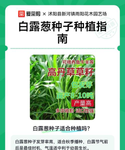 家里阳光不足怎么养花，选对植物种类，掌握养护技巧