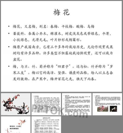 家里阳光不足怎么养花，选对植物种类，掌握养护技巧