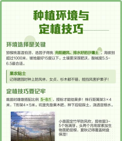 家里阳光不足怎么养花，选对植物种类，掌握养护技巧