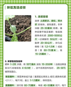 家里阳光不足怎么养花，选对植物种类，掌握养护技巧