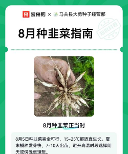 家里阳光不足怎么养花，选对植物种类，掌握养护技巧