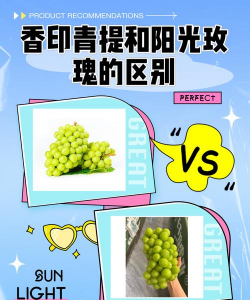 阳光青提和阳光玫瑰一样吗 阳光青提和阳光玫瑰一样吗