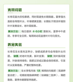 家里阳光不足怎么养花，选对植物种类，掌握养护技巧
