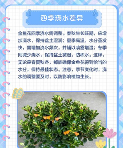 家里阳光不足怎么养花，选对植物种类，掌握养护技巧