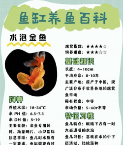 家里阳光不足怎么养花，选对植物种类，掌握养护技巧