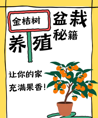 家里阳光不足怎么养花，选对植物种类，掌握养护技巧