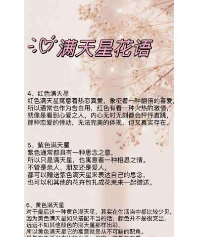 家里阳光不足怎么养花，选对植物种类，掌握养护技巧