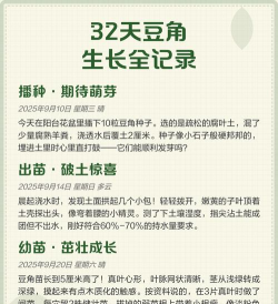 家里阳光不足怎么养花，选对植物种类，掌握养护技巧