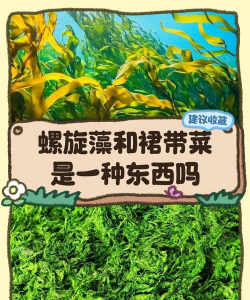家里阳光不足怎么养花，选对植物种类，掌握养护技巧