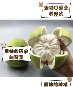 家里阳光不足怎么养花，选对植物种类，掌握养护技巧