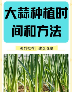 家里阳光不足怎么养花，选对植物种类，掌握养护技巧
