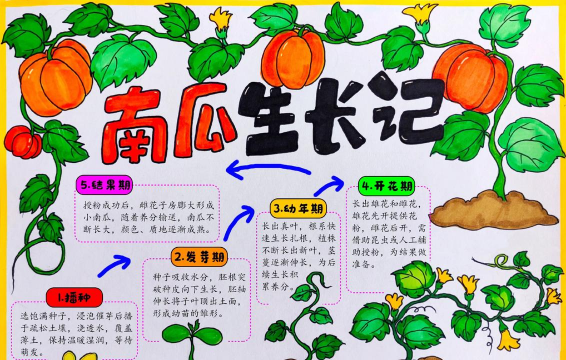 家里阳光不足怎么养花，选对植物种类，掌握养护技巧
