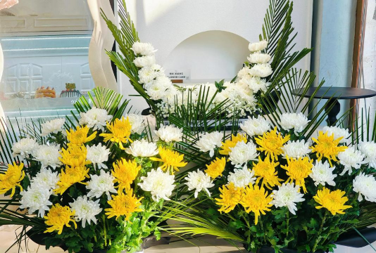 家里阳光不足怎么养花，选对植物种类，掌握养护技巧