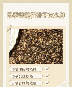 家里阳光不足怎么养花，选对植物种类，掌握养护技巧