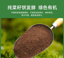 家里阳光不足怎么养花，选对植物种类，掌握养护技巧