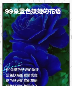 家里阳光不足怎么养花，选对植物种类，掌握养护技巧