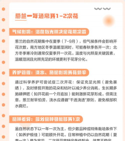 家里阳光不足怎么养花，选对植物种类，掌握养护技巧