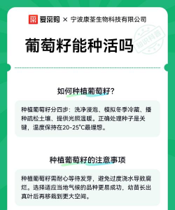 家里阳光不足怎么养花，选对植物种类，掌握养护技巧