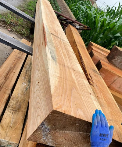 家里阳光不足怎么养花，选对植物种类，掌握养护技巧