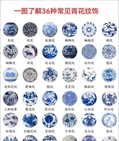 家里阳光不足怎么养花，选对植物种类，掌握养护技巧